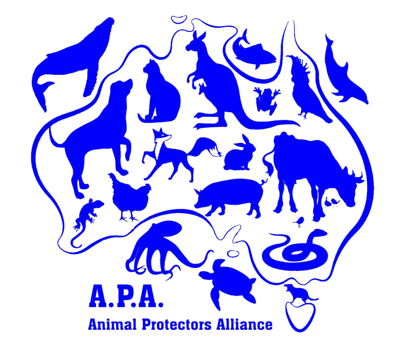 Animal Protectors Alliance